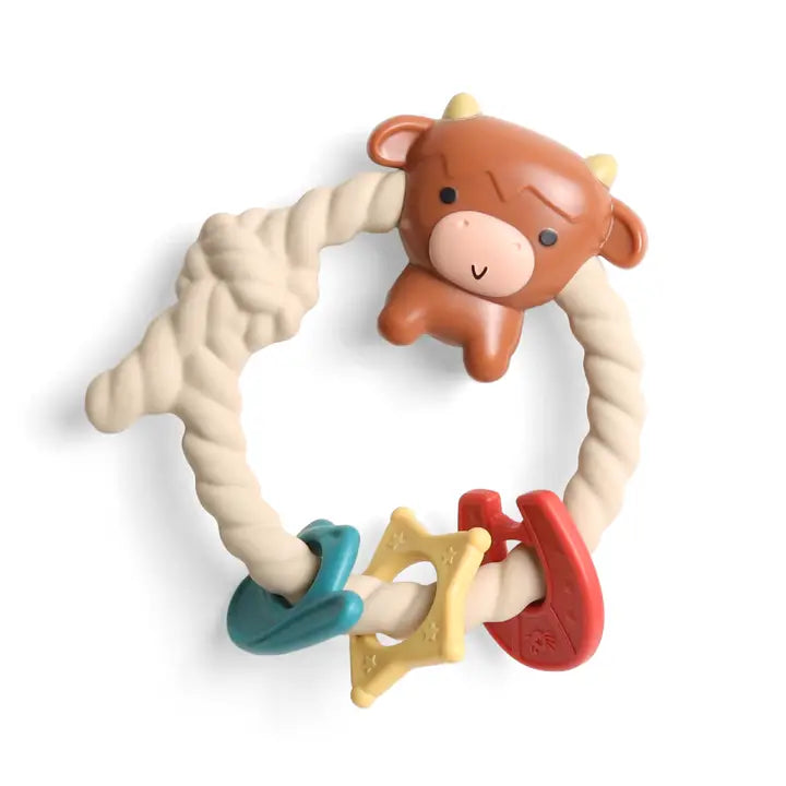 Itzy Ritzy Rattle