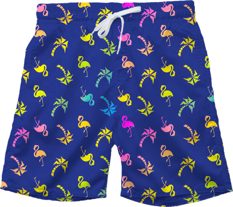 Wes & Willy Ombre Flamingo Swim Trunk