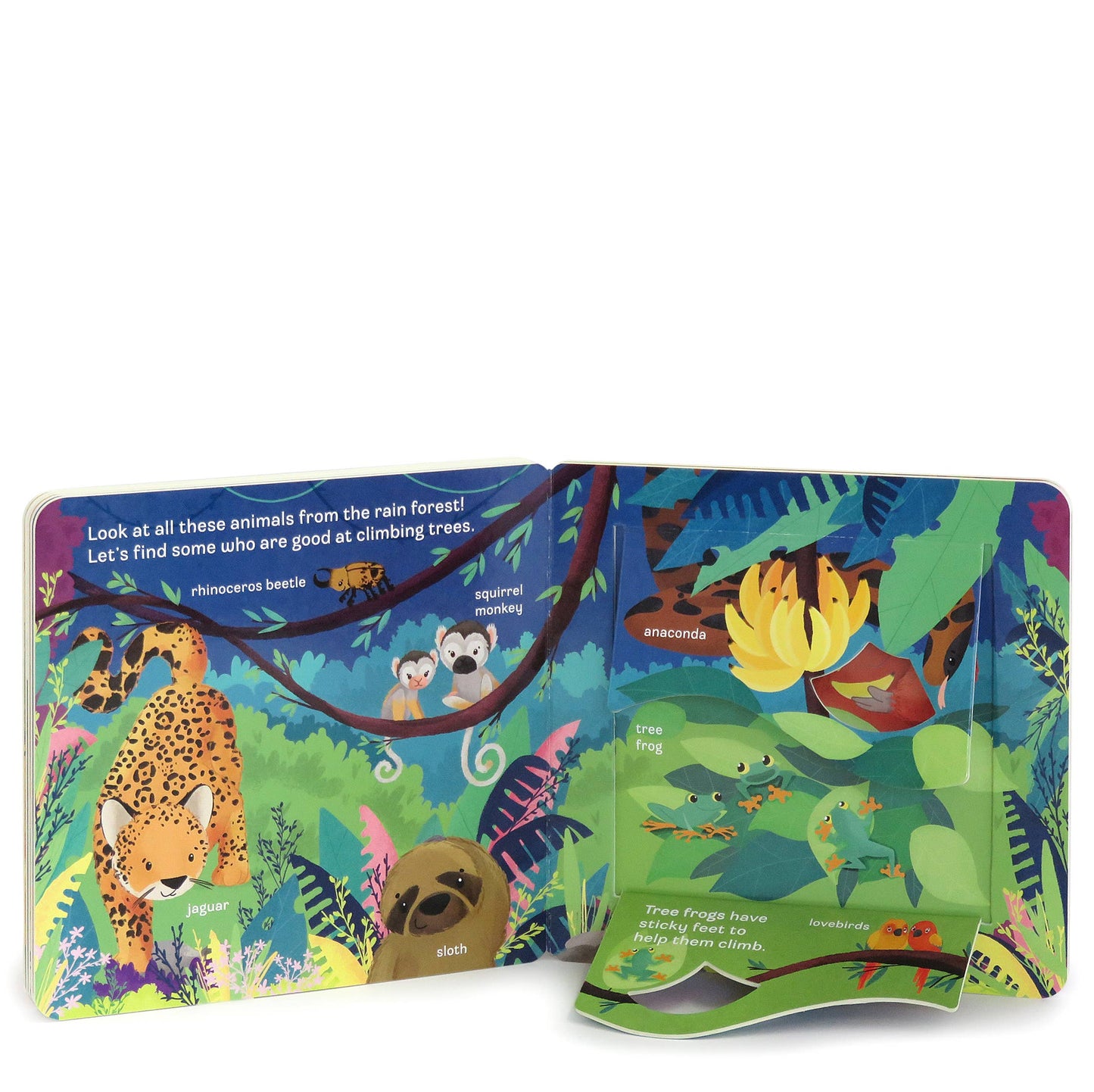Zoo Interactive Lift a Flap Board Book
