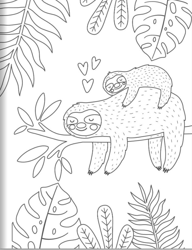 Amazing Animals Coloring Book
