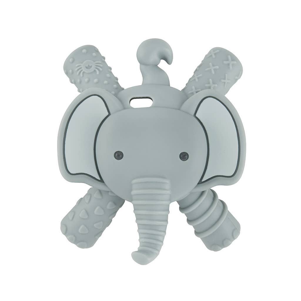 Itzy Ritzy Molar Teether